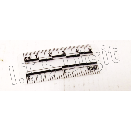 Reglets vinyl transparent 5 cm / 10