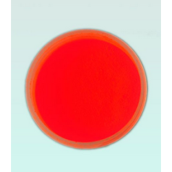 Poudre reactive fluo orange / Kg