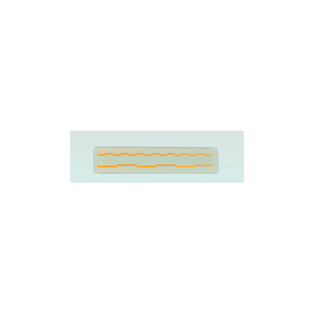 Reglets vinyl fluo orange 15 cm / 10