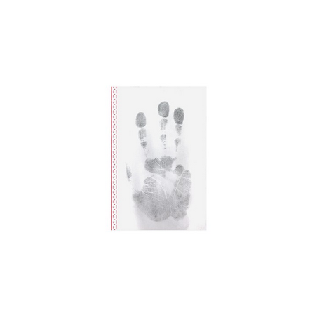 Transfert d'empreinte Palmaire Blanc 15.2x22.9 cm Sirchie