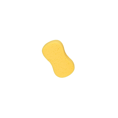 Eponge