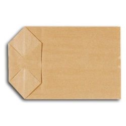 Sac kraft ecorne double ecru num. 12 (60g - 250x385 mm) / 100